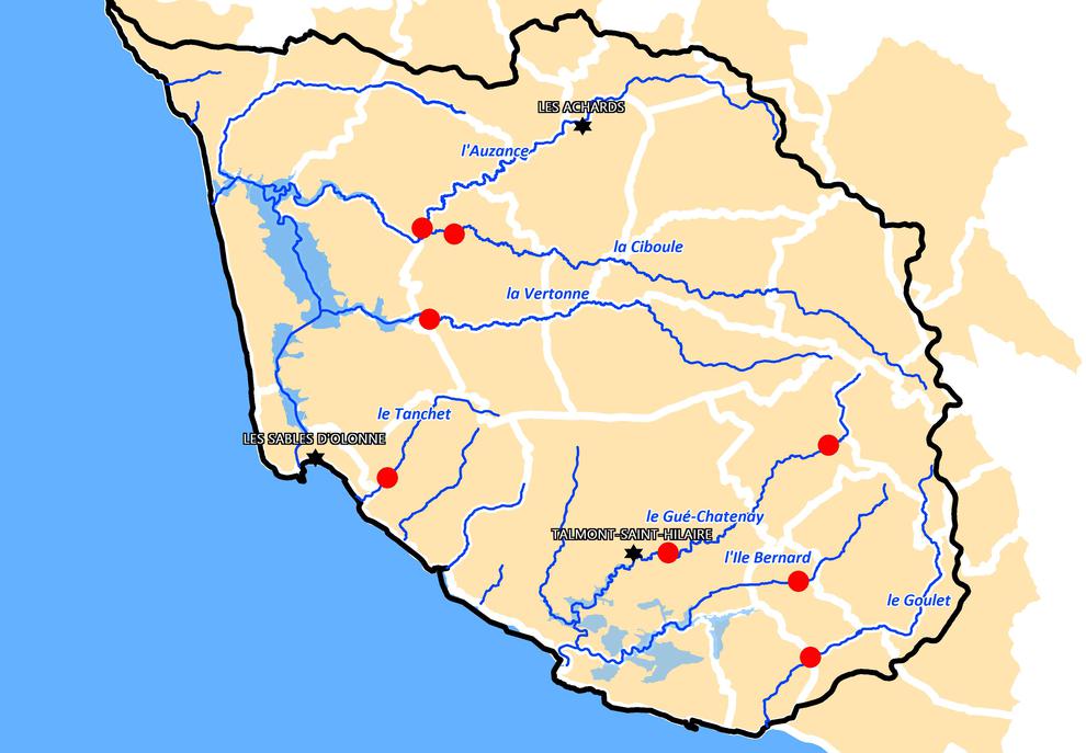 carte réseau local