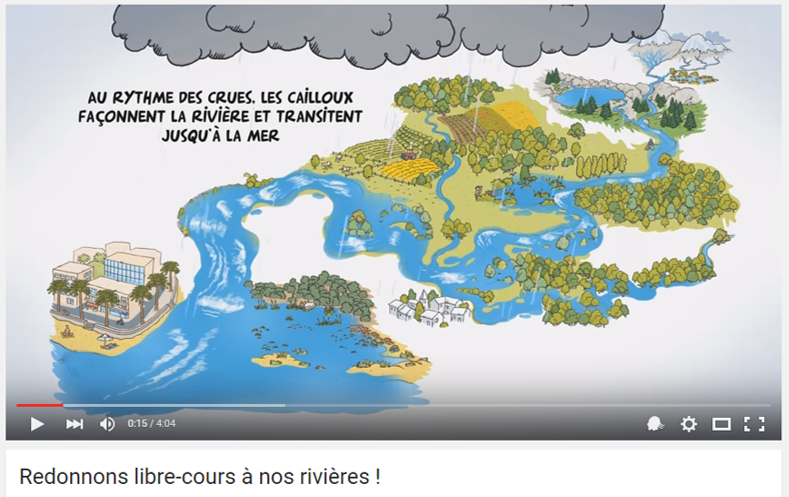 vidéo cours d'eau