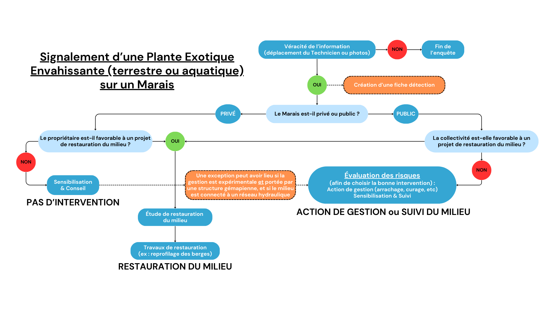 Signalement d’une Plante Exotique Envahissante (terrestre ou aquatique) sur un Marais