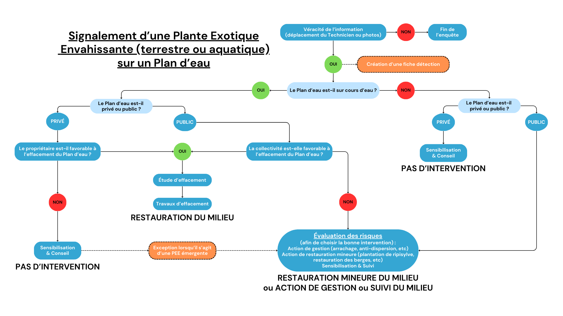 Signalement d’une Plante Exotique  Envahissante (terrestre ou aquatique) sur un Plan d’eau