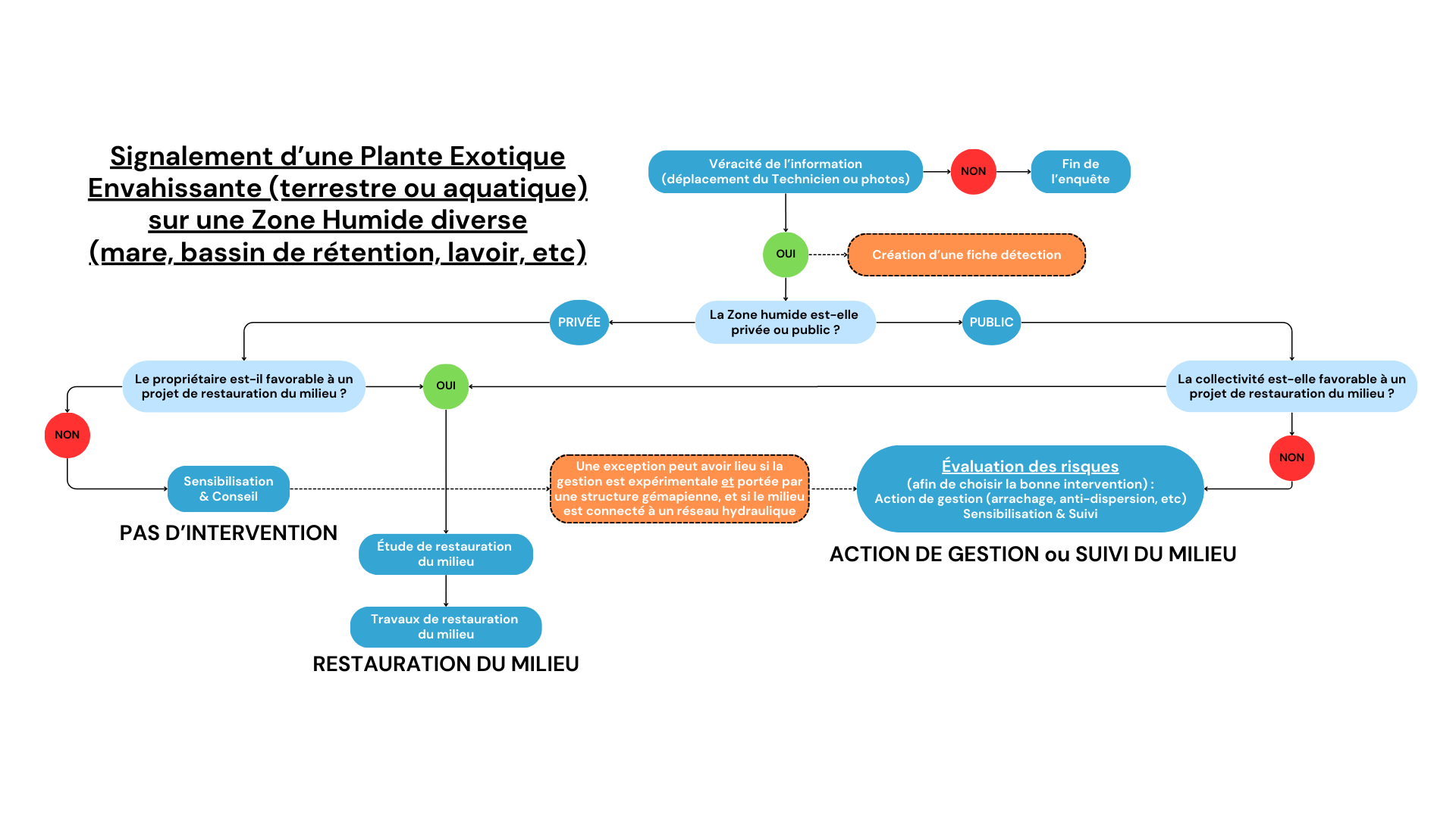 Signalement d’une Plante Exotique Envahissante (terrestre ou aquatique) sur une Zone Humide diverse (mare, bassin de rétention, lavoir, etc)
