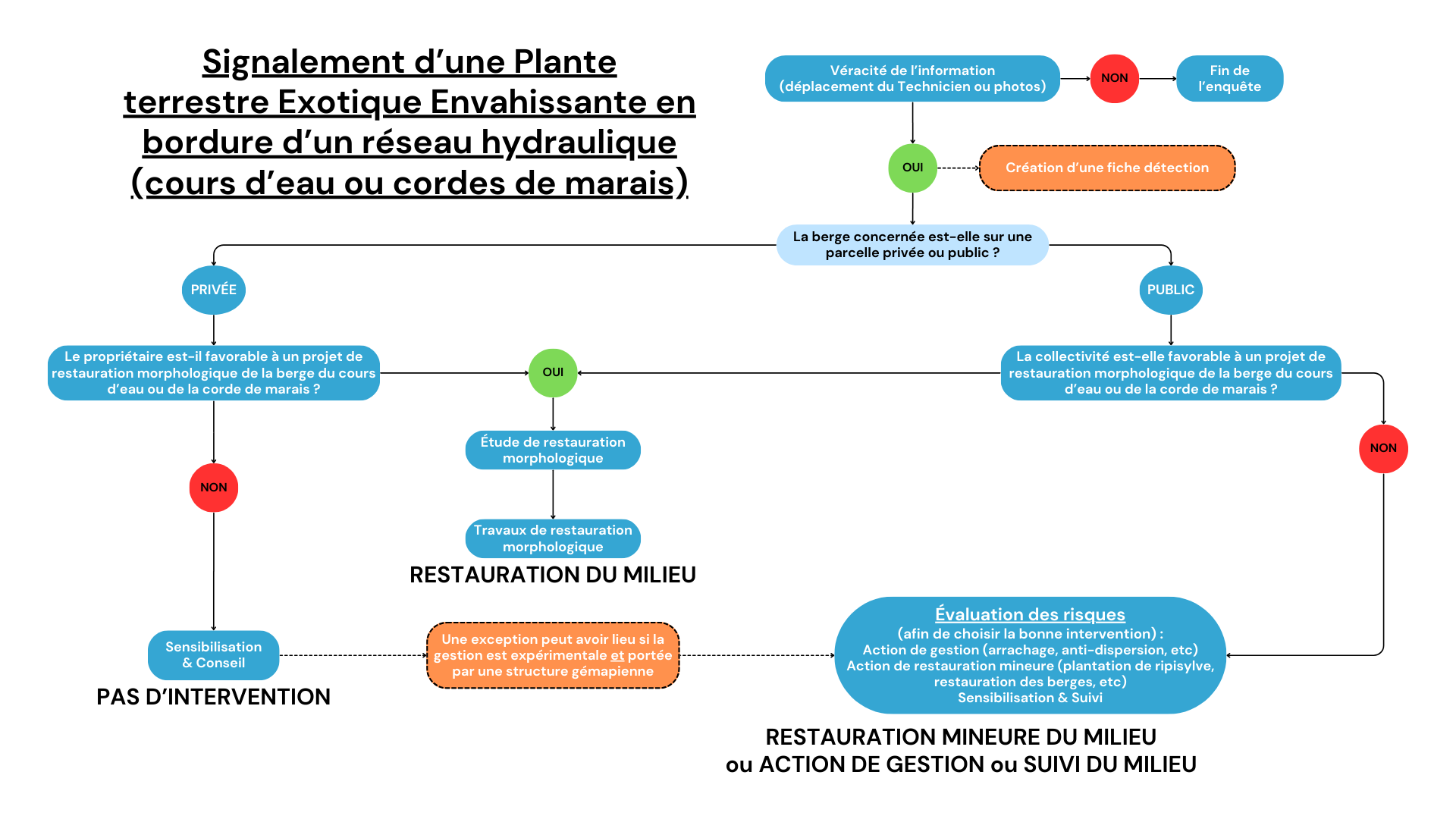 Signalement d’une Plante terrestre Exotique Envahissante en bordure d’un réseau hydraulique (cours d’eau ou corde de marais)