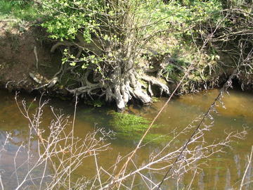 berges auzance